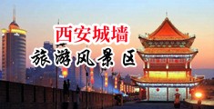 大胆掰穴国模图片中国陕西-西安城墙旅游风景区